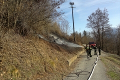 Incendio boschivo Barbaniga
