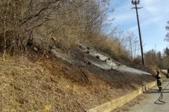 Incendio boschivo Barbaniga