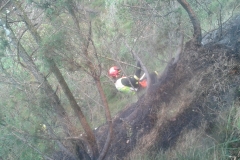 Incendio boschivo monte Celva