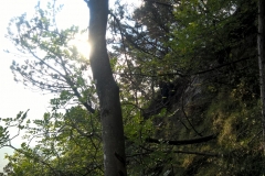 Incendio boschivo monte Bondone
