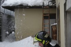 Servizio tecnico loc. Bosco